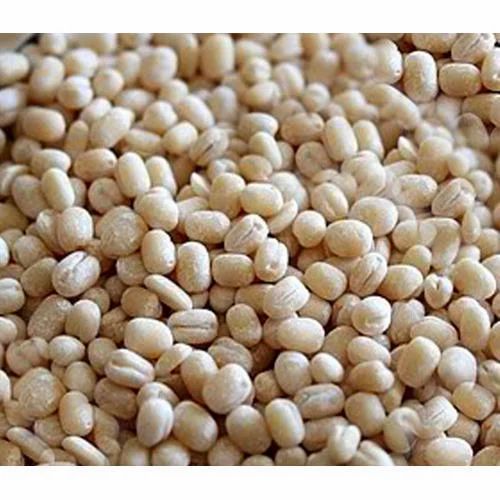 Urad dall medium