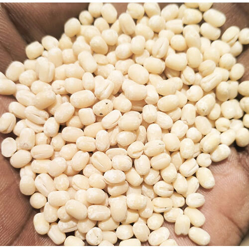 Urad dall best