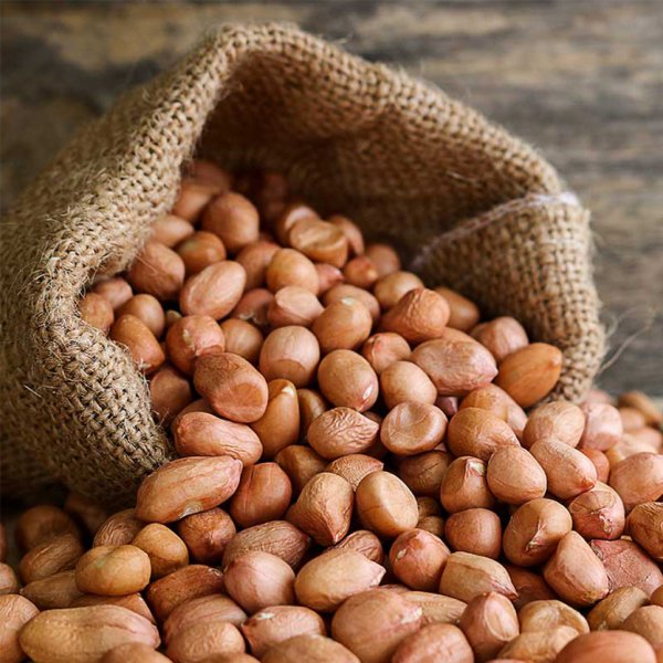 Ground nut